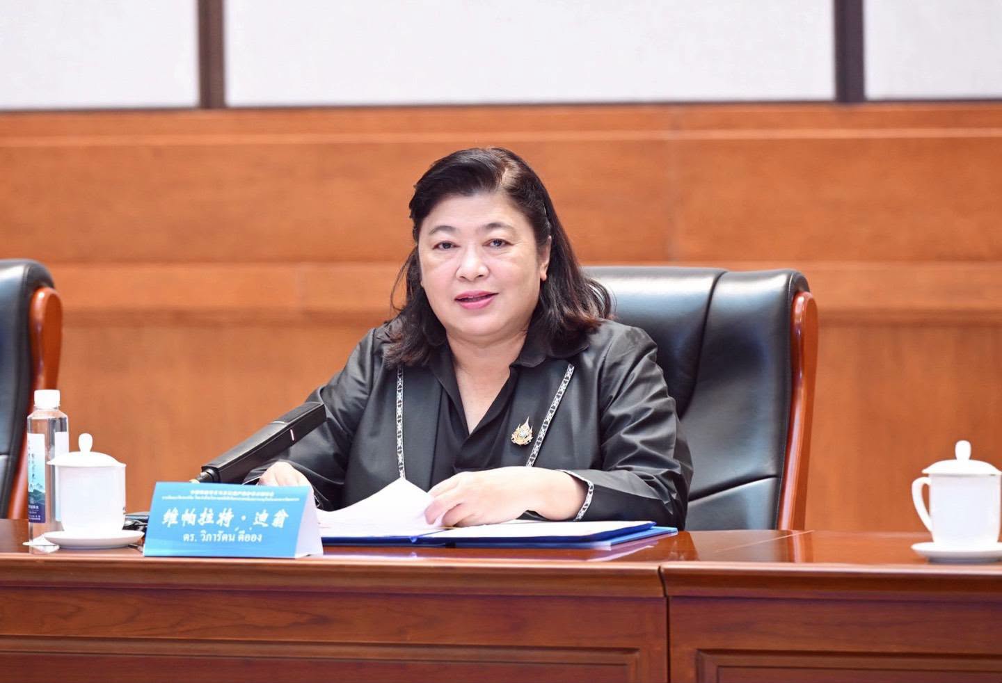 CASS and NRCT Strengthen Thailand–China Academic Cooperation through Science-Based Archaeology and Cultural Heritage Preservation